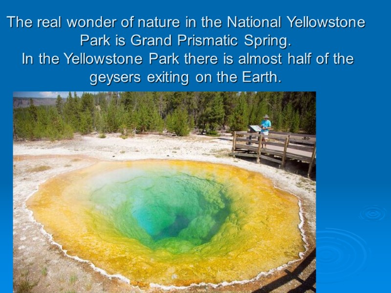 The real wonder of nature in the National Yellowstone Park is Grand Prismatic Spring.